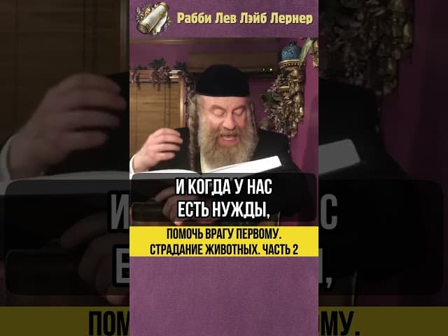 2️⃣ Помочь врагу первому 😲 Страдание животных #shorts #тора