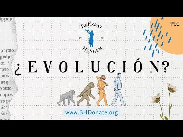 ¿ e v o l u c i o n a m o s ? 🐵🐒🦧