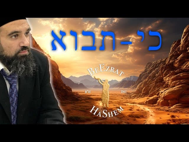 הברכות של פרשת כי תבוא