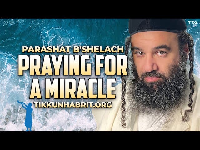 When Prayer Is Not Enough: Parashat B'Shelach