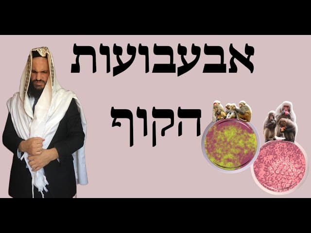 🙊🙊🙊אבעבועות הקוף