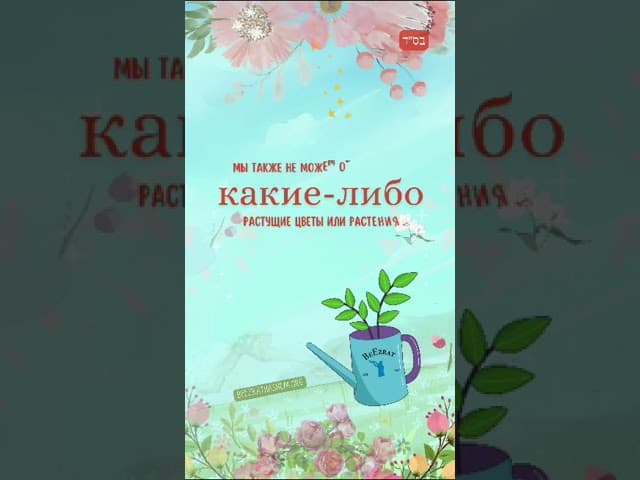 🌾 Коцаир - Жатва (срезка), сбор урожая (5)