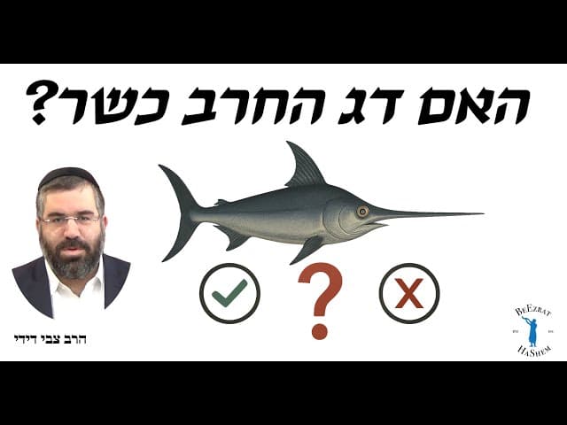 האם דג החרב כשר? - הרב צבי דידי