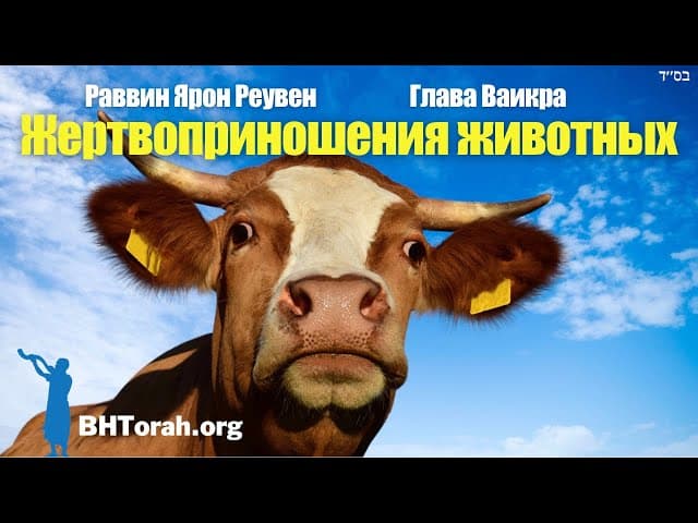 Парашат Вайикра - Уроки жертвоприношений