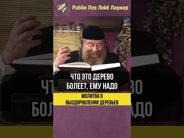 Молитва о выздоровлении деревьев 🌳 Важный урок Шмиты #shorts #тора