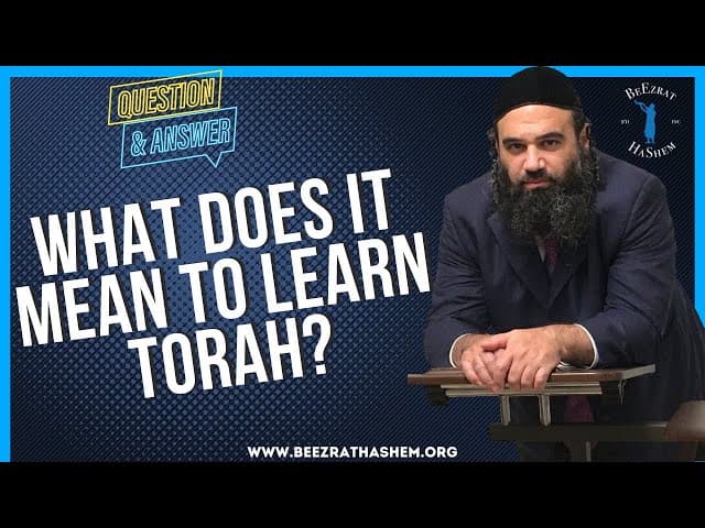   WHAT DOES IT MEAN TO LEARN TORAH
