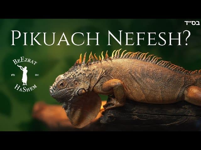 Can We Kill Invasive Species Without Reason?