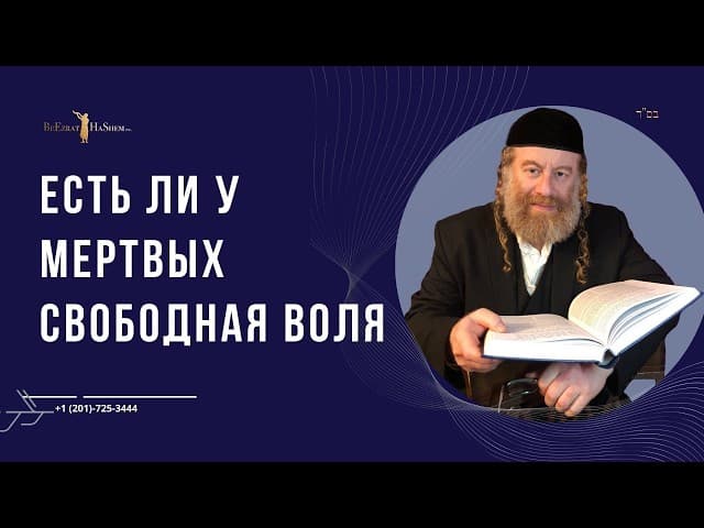 Есть ли у мертвых свободная воля
