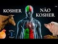 Comida kosher