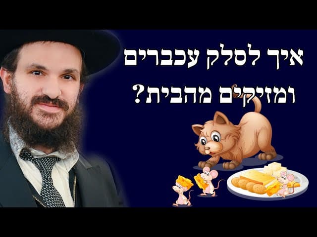 איך לסלק עכברים ומזיקים מהבית?