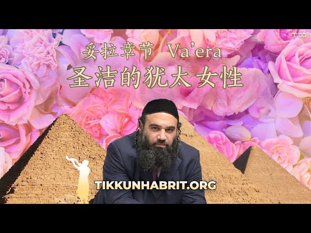 犹太圣女 - 卫埃拉经文