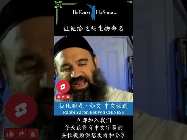上帝创造世界 🌏 异端的错误认知 #犹太教  #妥拉 #拉比雅戎如文