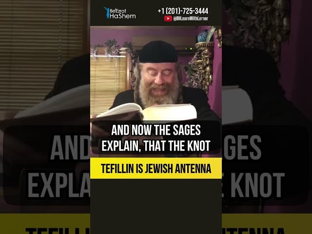 Tefillin is Jewish antenna #short #Torah