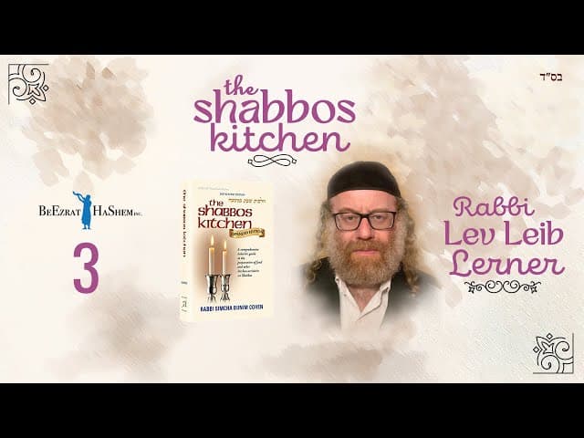 Reheating Food on Shabbos - Shabbos Kitchen (3)