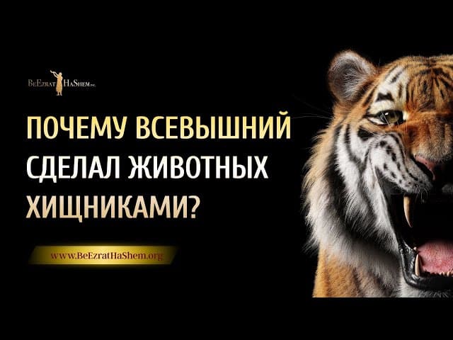 Почему Всевышний сделал животных хищниками? | Раввин Ярон Реувен
