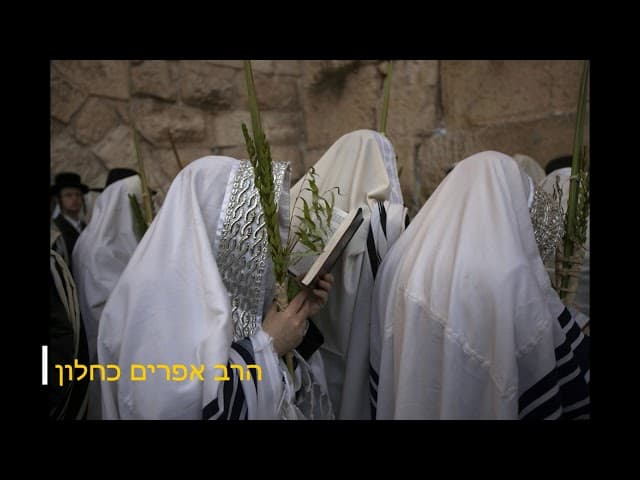סוד ארבעת המינים וחבטת הערבה מהרב אפרים כחלון