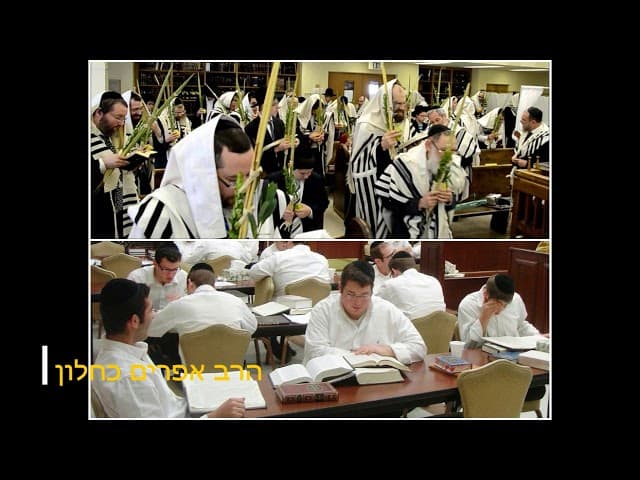 הושענא רבא מעלת היום מהרב אפרים כחלון