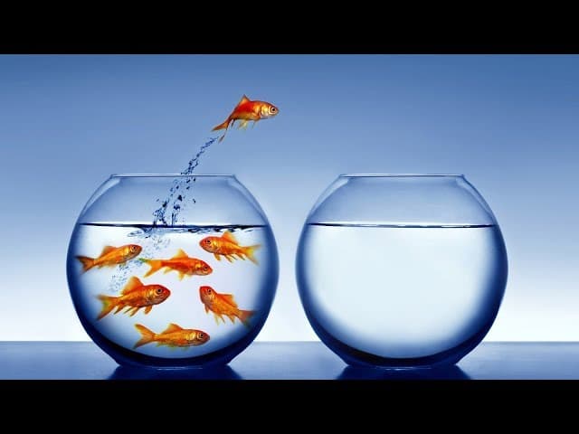 Is Your Free Choice Really Free - MUSSAR Pirkei Avot (51)