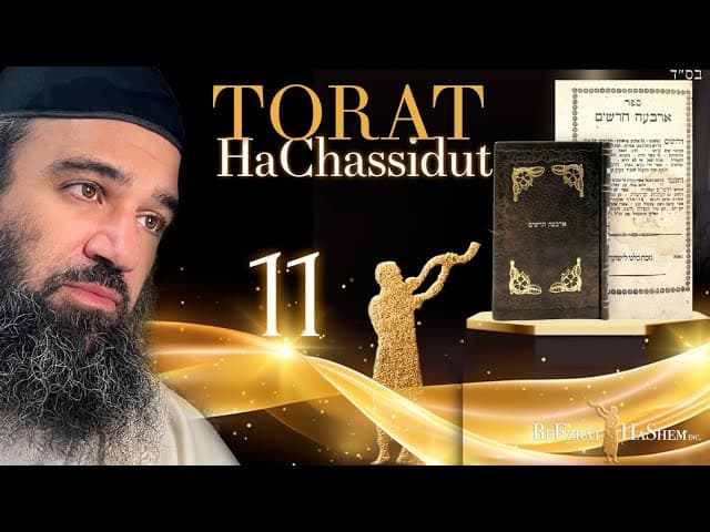 Greatness In Saying I DON'T KNOW | Torat HaChassidut (11)