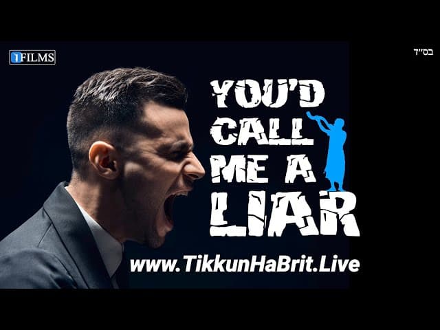You'd Call Me A Liar  (A BeEzrat HaShem Inc.)