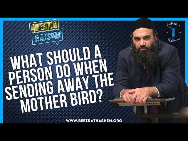 WHAT SHOULD A PERSON DO WHEN SENDING AWAY THE MOTHER BIRD?