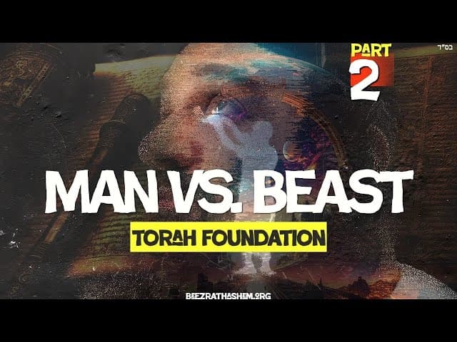 Hierarchy of Creation | TORAH FOUNDATION (2)