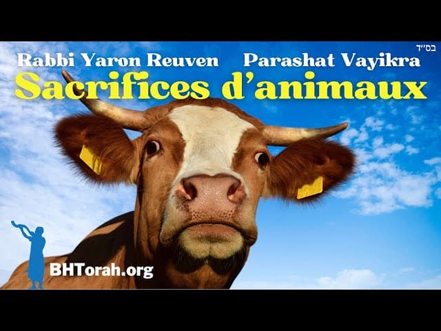 Parashat Vayikra - Leçons des sacrifices animaux