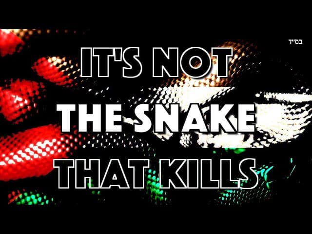 It's Not The Snake That Kills