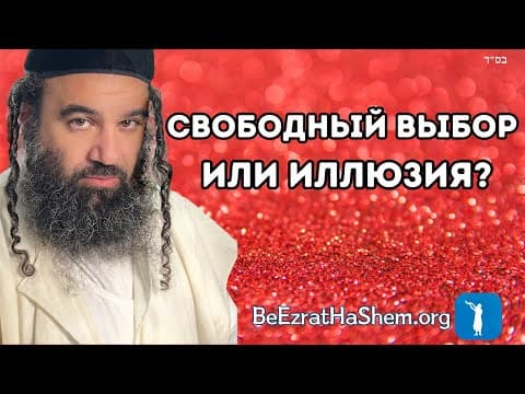 У нас есть свобода выбора или это иллюзия?