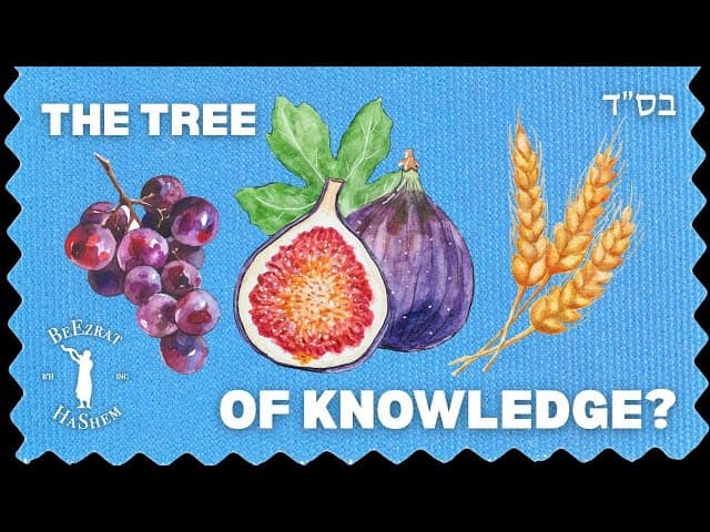 What Knowledge Did Adam and Chava Get From the Etz HaDaas?