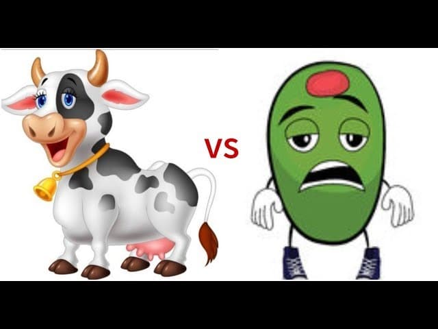 Cow vs Olive MUST HEAR Life Lesson From Hanukkah (5 Minutes)