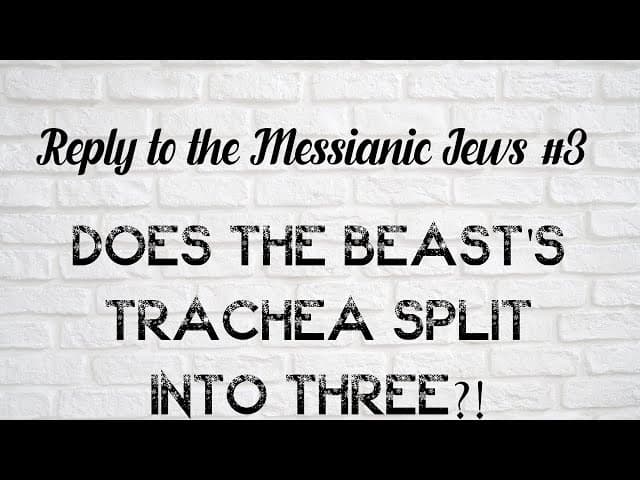 Does The Beast's Trachea Split Into Three?! (Reply To The Messianic Jews #3)