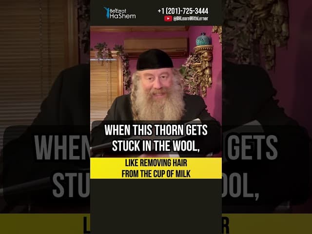 🥛 Like removing hair from the cup of milk #Torah #shorts