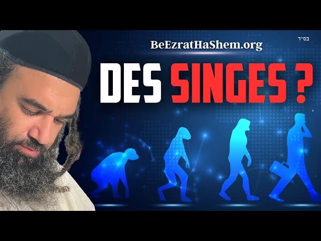Qui enseigne que nous venons des singes?