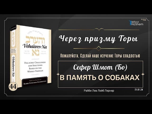 𝟰𝟰. Через призму Торы: В память о собаках  | Шмот (Бо) | Рабби Лев Лэйб Лернер