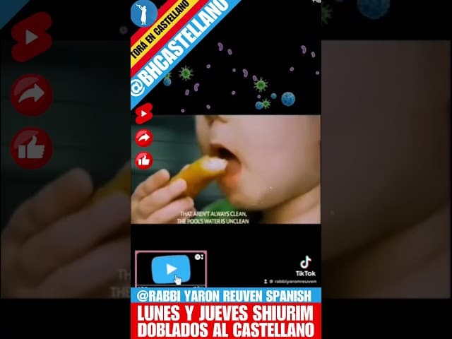 🌊 ¿AGUA SUCIA EN LA MIKVE?! - Un clip doblado al Castellano