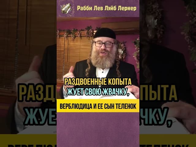 🐪 Верблюдица и ее сын теленок…🐮 Тора и Генетическая инженерия #shorts