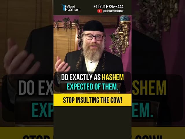 Stop insulting the cow 🐮 Who are not allowed to eat animals? #shorts #torah