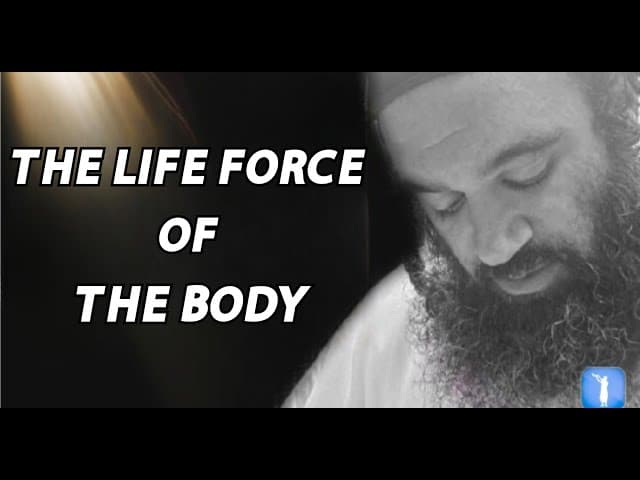 THE LIFE FORCE OF THE BODY (A BeEzrat HaShem Inc. Film)