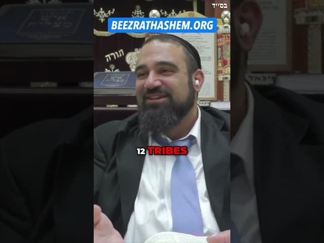 Die Schönheit von Josef HaTzaddik