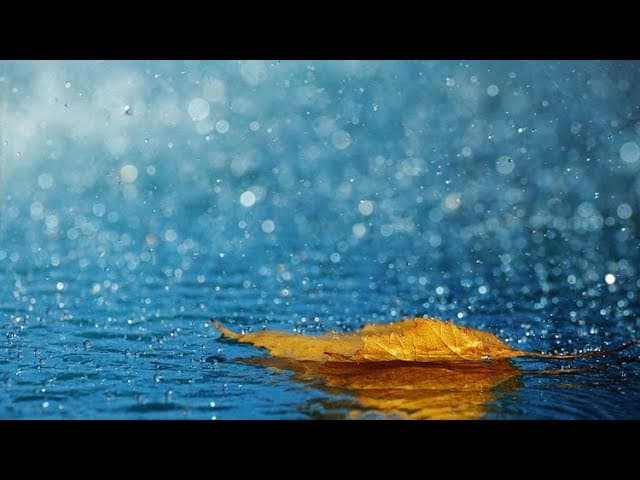 Emunah and The Miracle of Rain (11 Minutes)