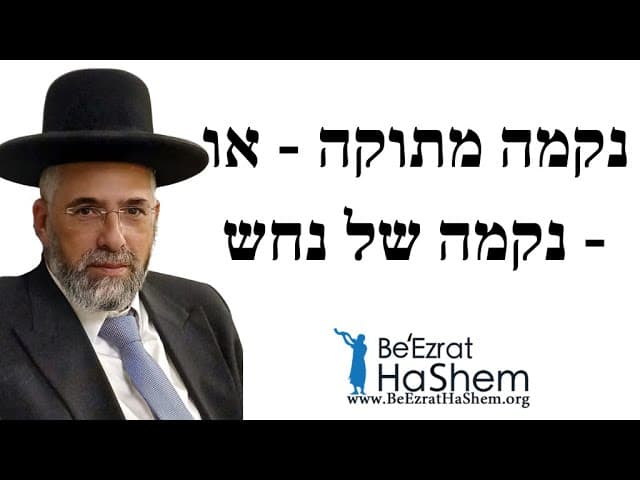 נקמה מתוקה - או - נקמה של נחש - הרב שלמה שרביט