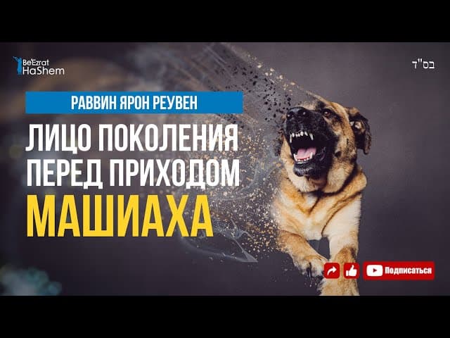 Лицо поколения перед приходом Машиаха | Раввин Ярон Реувен