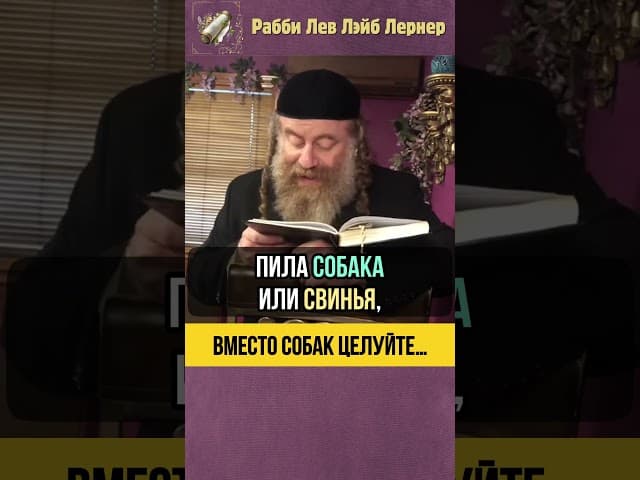 Вместо собак целуйте… 💧 Какая вода подходит для омовения рук #shorts #тора
