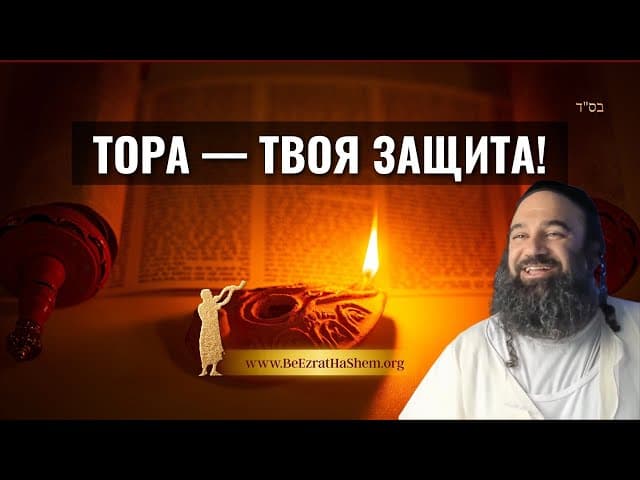 Тора — твоя защита! Почему невежество не освобождает от ответственности