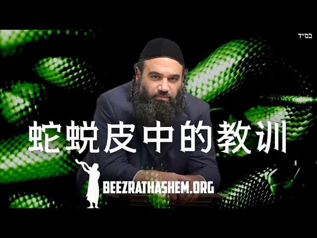 Yetzer Hara 永不放弃。