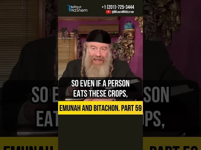 5️⃣9️⃣ Emunah and Bitachon 💡Ensuring Complete Reward in the World to Come #Torah #shorts