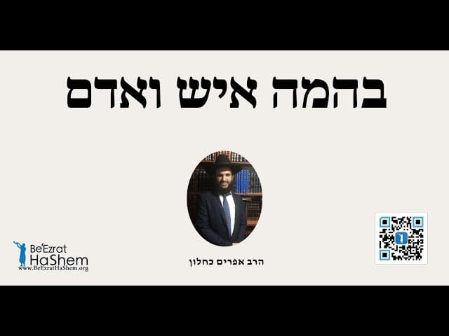 בהמה איש ואדם