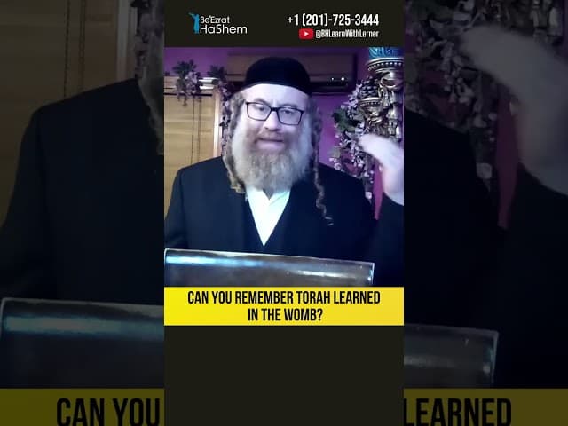 💡Can You Remember The Torah Learned in the Womb? #Torah #shorts