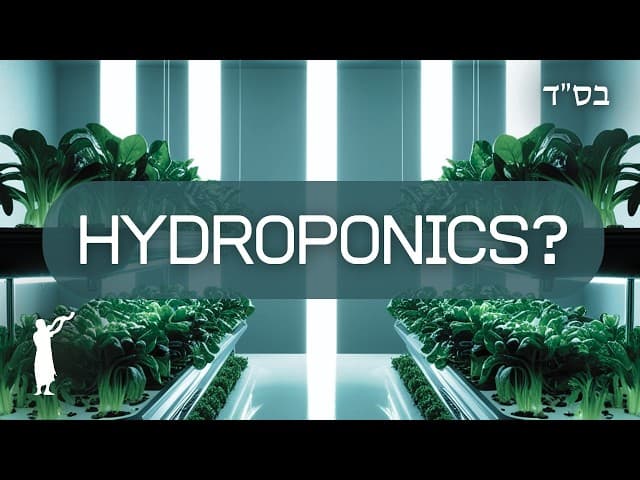 What Bracha Should Be Said on Plants Grown in Water and Replanted in Soil?
